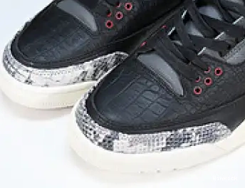 CV3583-003 “ANIMAL AIR 3 JORDAN 2.0” SE INSTINCT 0623